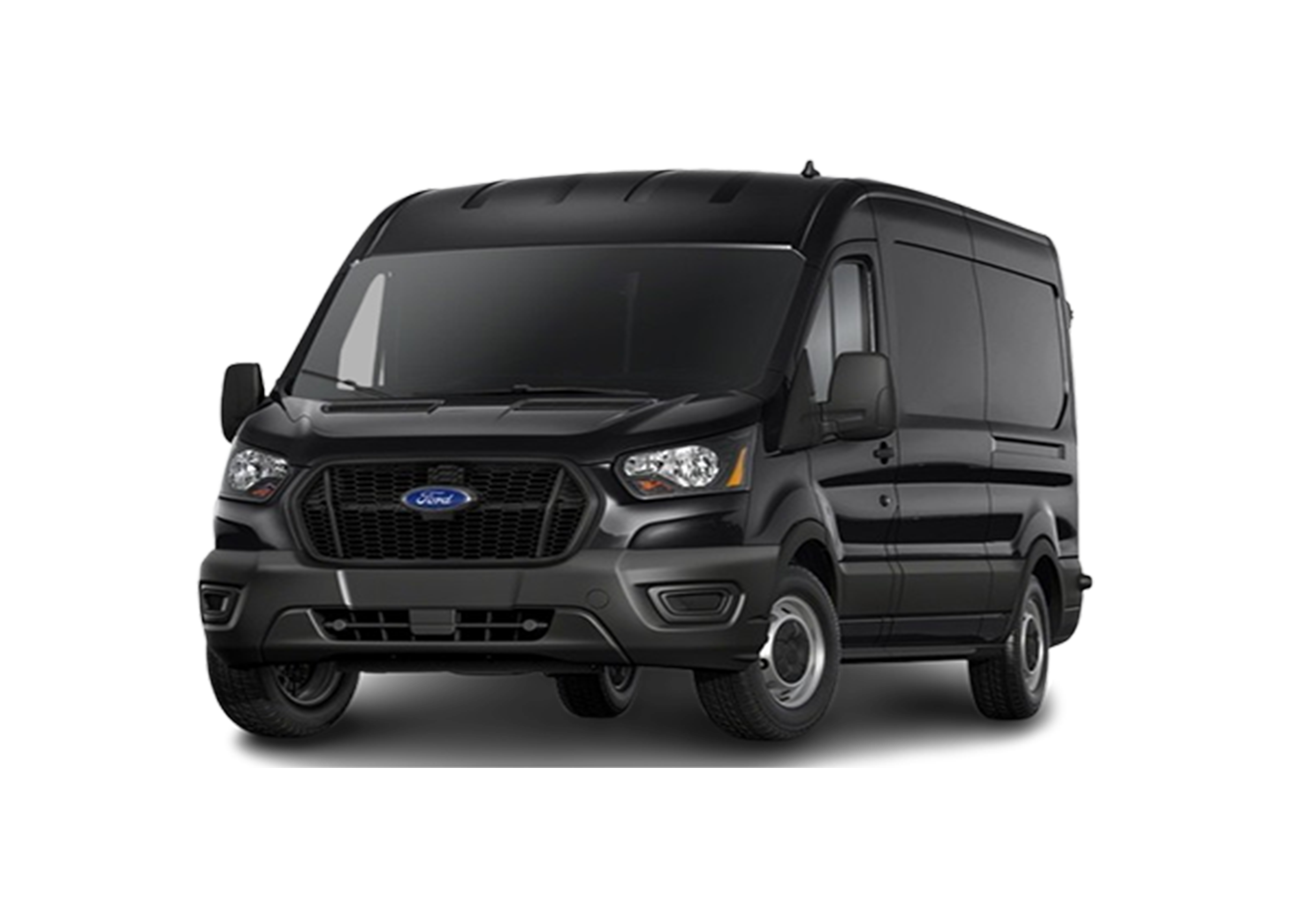 Comfortable minivan transport for small groups and large families.